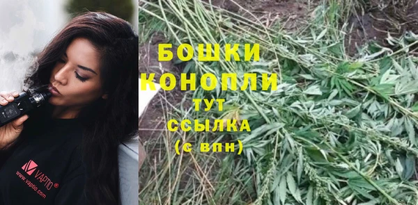 ГАЛЛЮЦИНОГЕННЫЕ ГРИБЫ Медвежьегорск