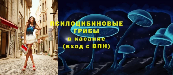 прущие крисы Мегион
