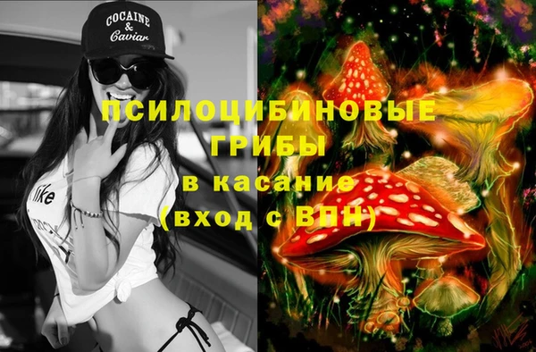 прущие крисы Мегион