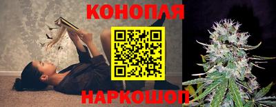 гашик Кулебаки