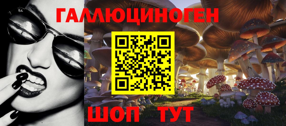 Псилоцибиновые грибы прущие грибы  Вход с VPN  Шатура  Псилоцибиновые грибы Psilocybine cubensis 